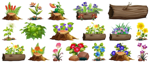 Free vector large set of colorful flowers on rocks and wood