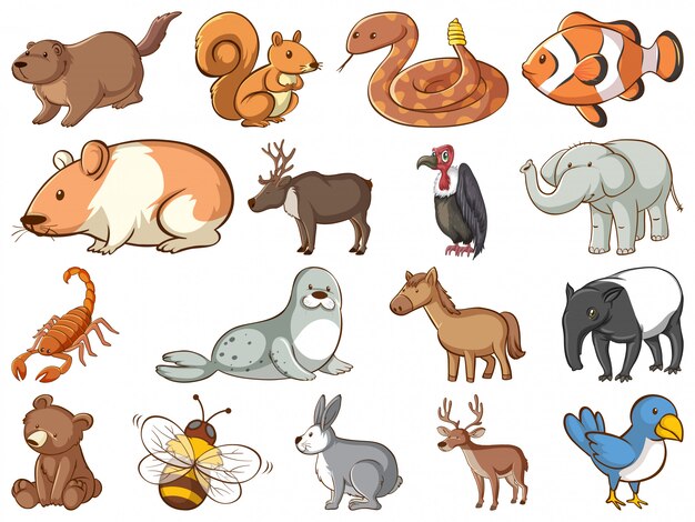 많은 종류의 동물과 함께하는 야생 동물의 대형 세트