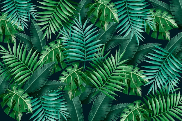 Large tropical green leaves background