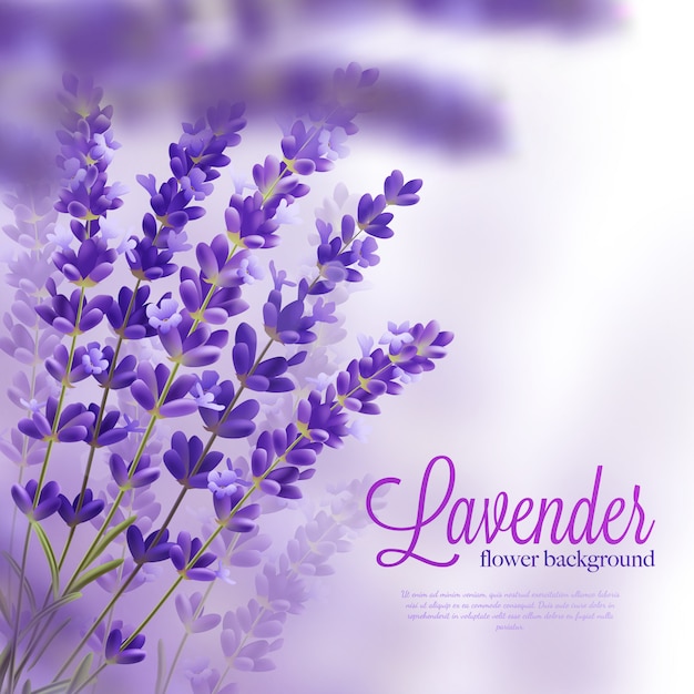 Lavender branches realistic background