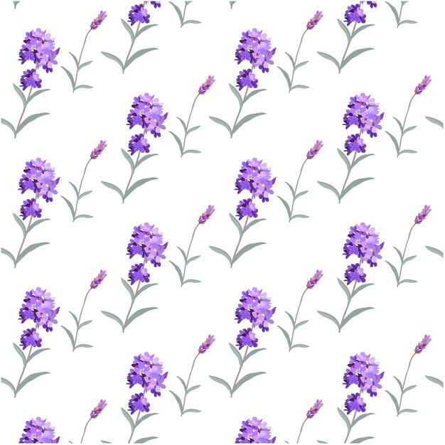 Lavender Flower Vectors, Photos and PSD files | Free Download