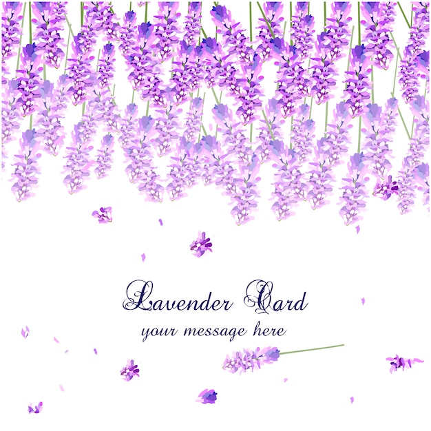 Lavender watercolor card design