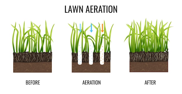 Free vector lawn aeration illustration