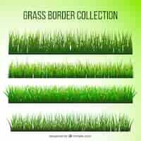 Free vector lawns in realistic style