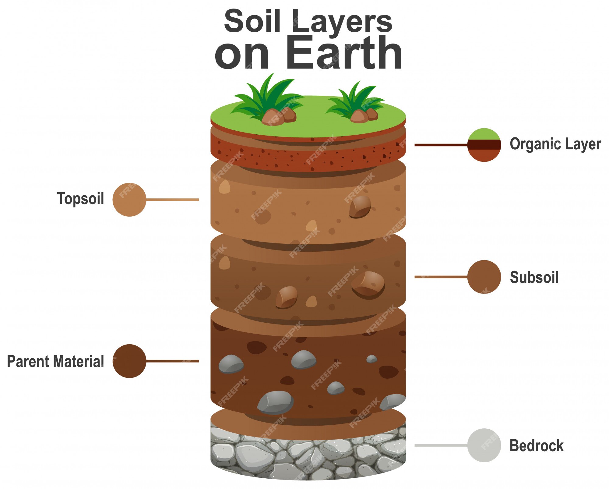 soil profile for kids