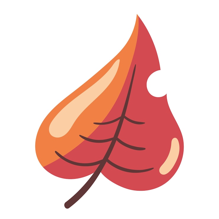Free Vector leaf dry foliage icon