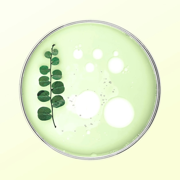 Free vector leaf in petri dish vector natural product