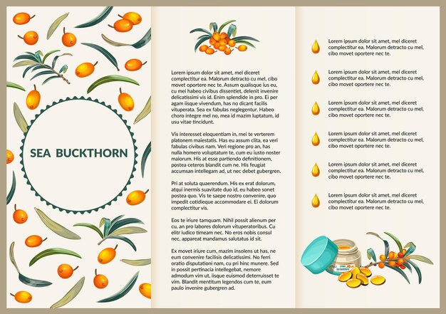 Leaflet sea buckthorn folding paper flyer.