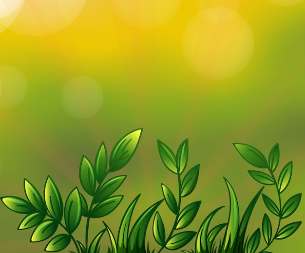 Free vector leafy plants