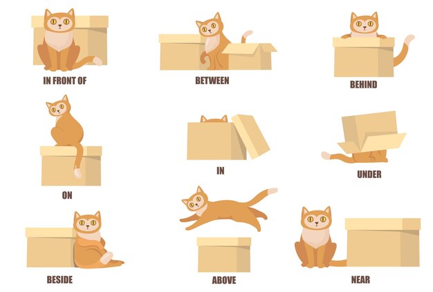 고양이와 상자 플랫 세트의 도움으로 전치사 학습