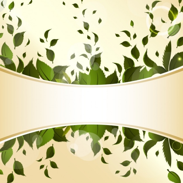 Free vector leaves background design