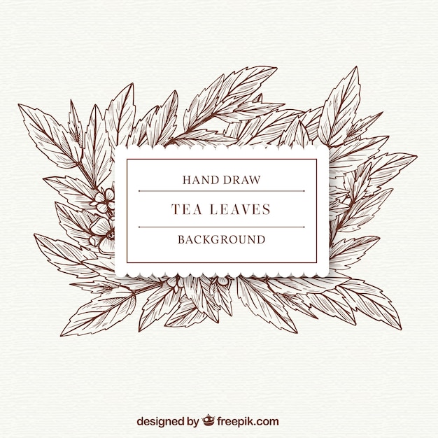 Free vector leaves background to prepare tea