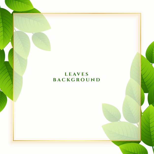 Leaves background for spring season with text space