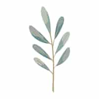 Free vector leaves branch icon