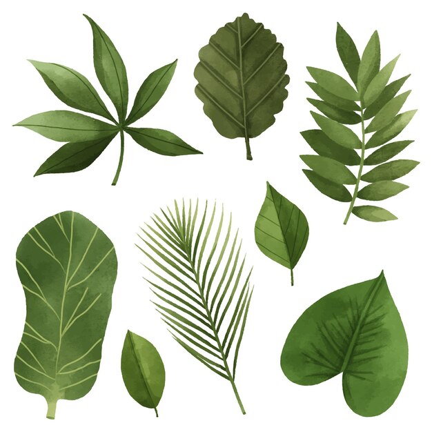 Дизайн коллекции листьев
