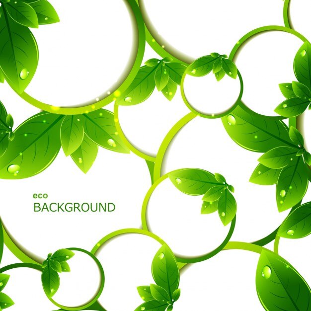 Free vector leaves eco background