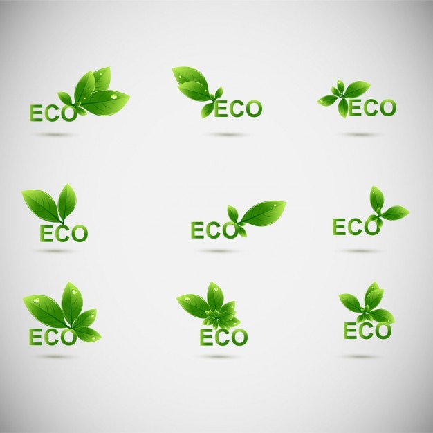 Free vector leaves eco logos