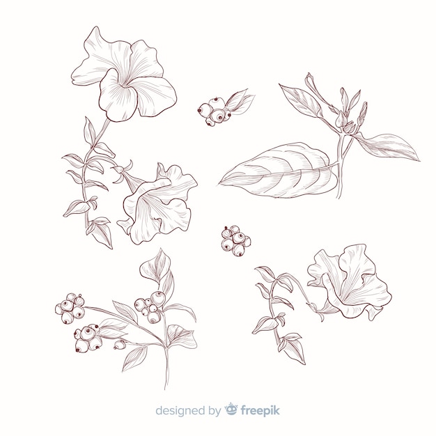 Free vector leaves and flowers for botanical collection