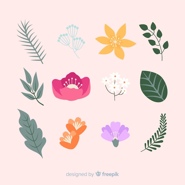 Free vector leaves and flowers collection