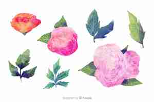 Free vector leaves and flowers on watercolour design