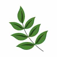 Бесплатное векторное изображение Листья листва дизайн