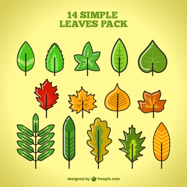 Free vector leaves pack