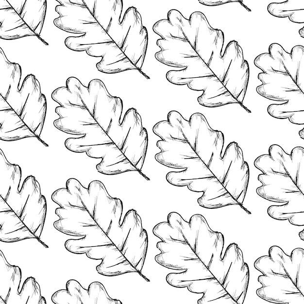 Leaves pattern on white background