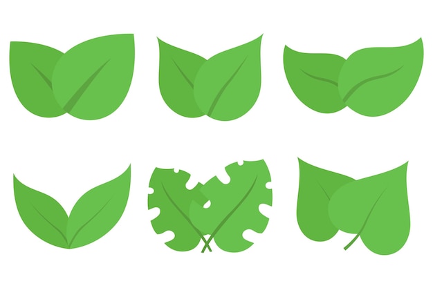 Free vector leaves set in flat style