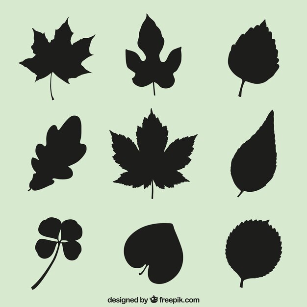 Leaves silhouettes