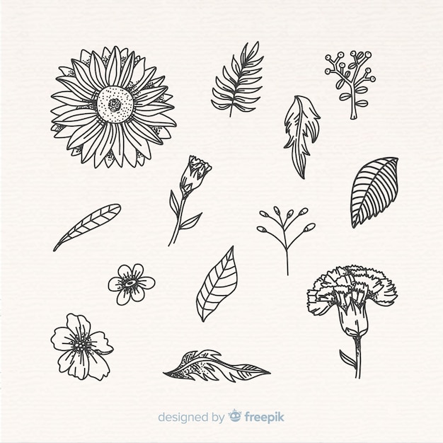 Free Vector leaves