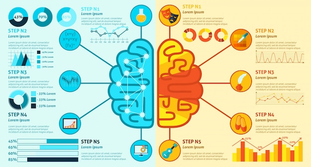 Vettore gratuito infografica del cervello sinistro e destro