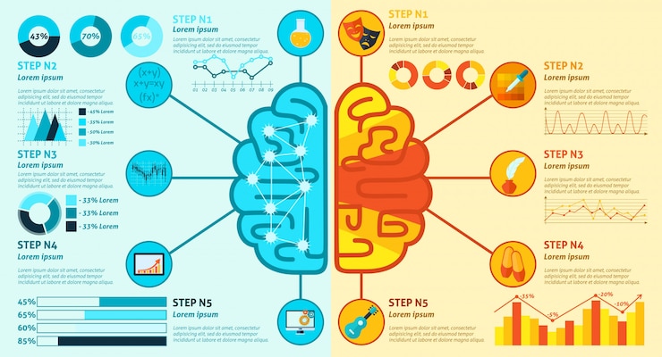 Free Vector left and right brain infographics