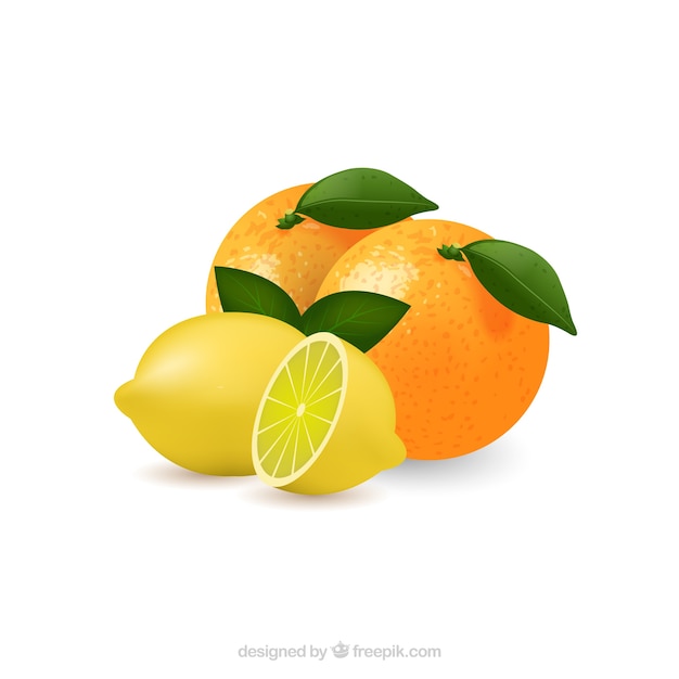 Free vector lemon and orange vector art