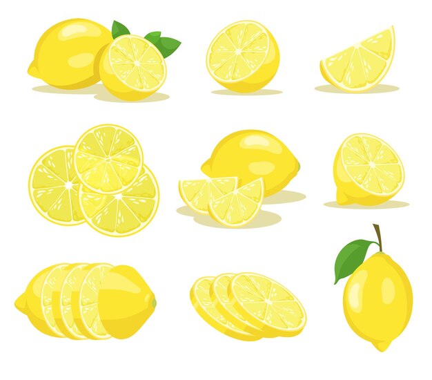 Lemon slices illustrations set
