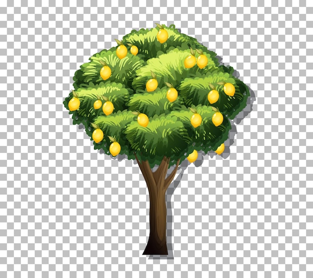 透明な背景の上のレモンの木
