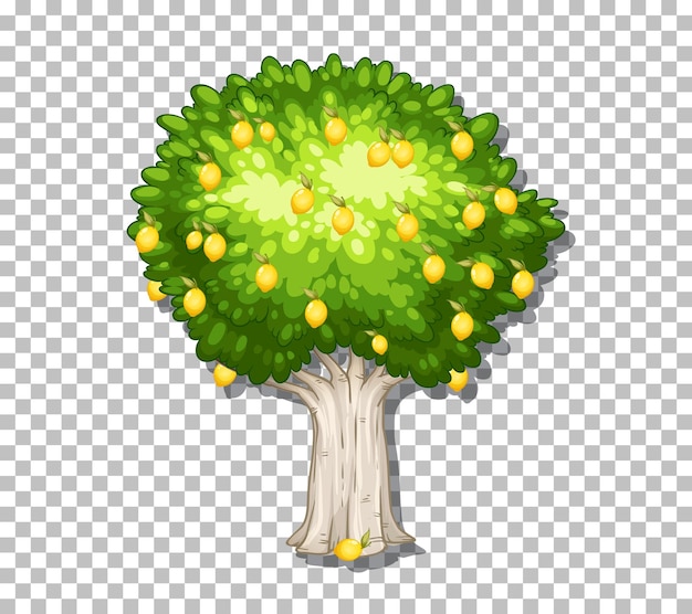 Бесплатное векторное изображение Лимонное дерево на прозрачном фоне