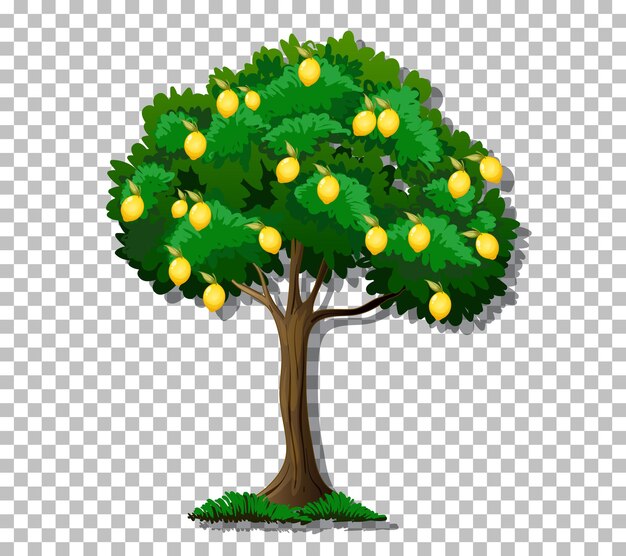 Страница 3 | Lemon Garden Изображения – Скачать Бесплатно На Freepik