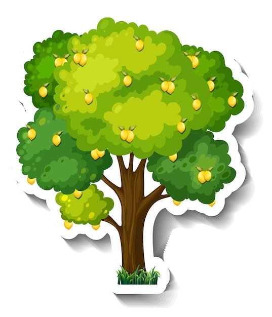 Lemon tree sticker on white background