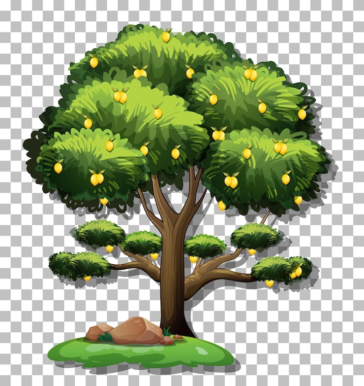 Free Vector lemon tree on transparent background