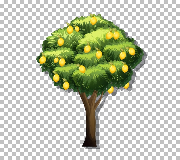 Free vector lemon tree on transparent background