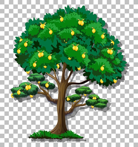 Albero di limone su sfondo trasparente