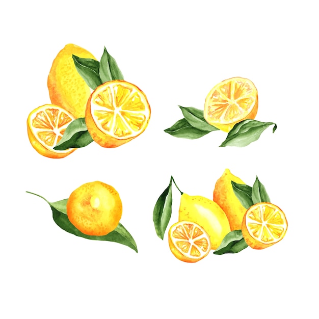 Lemons Arrangement Watercolor Set