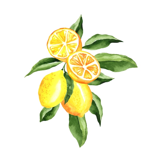 Free vector lemons watercolor illustration