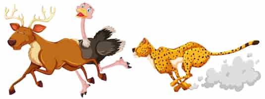 Free vector leopard hunting ostriche and deer in cartoon character on white background