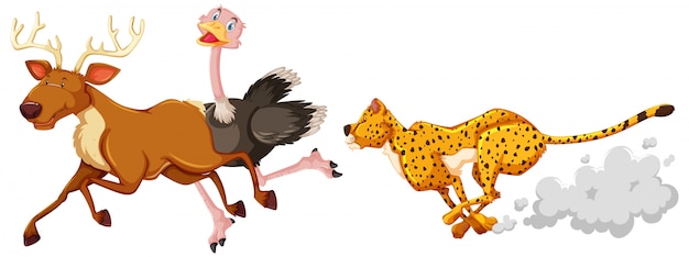 ヒョウ狩りのダチョウと白い背景の上の漫画のキャラクターの鹿