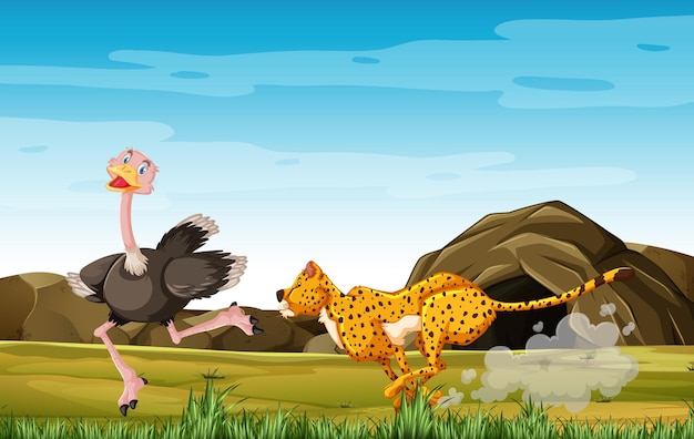 숲 배경에 만화 캐릭터 레오파드 사냥 타조