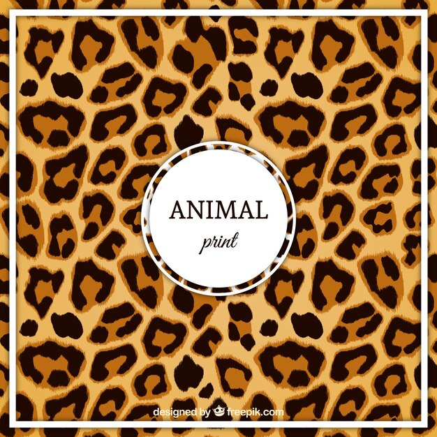 Download Leopard Images | Free Vectors, Stock Photos & PSD