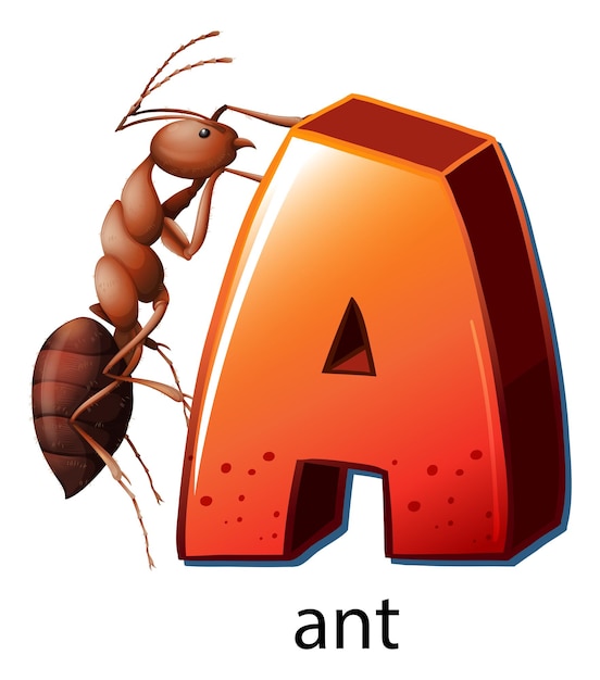 Una lettera a per ant