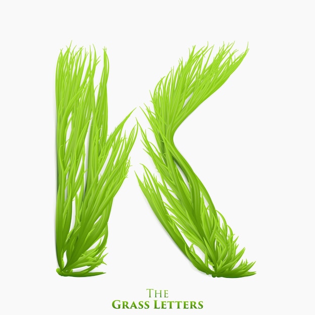 Letter k of juicy grass alphabet