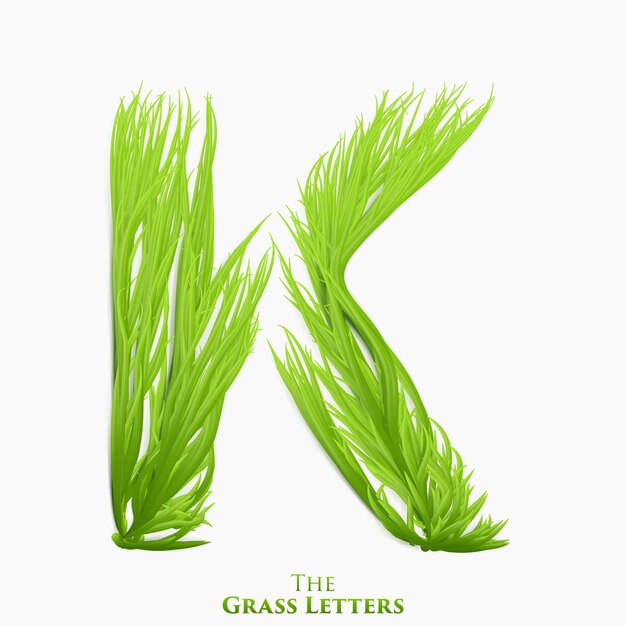 Letter K of juicy grass alphabet